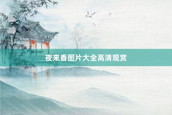 夜来香图片大全高清观赏