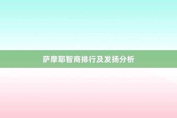 萨摩耶智商排行及发扬分析