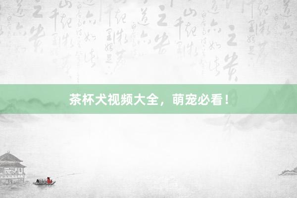 茶杯犬视频大全，萌宠必看！
