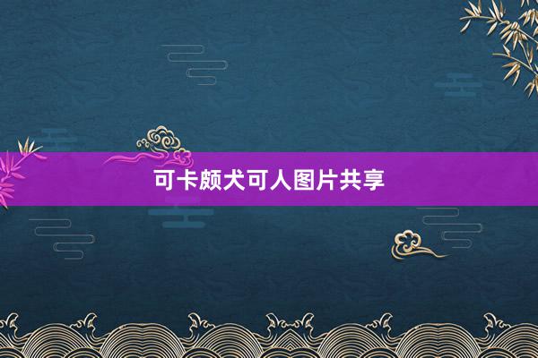 可卡颇犬可人图片共享